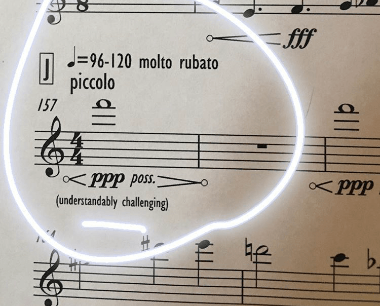 Flute & Composer&nbsp;Collaboration